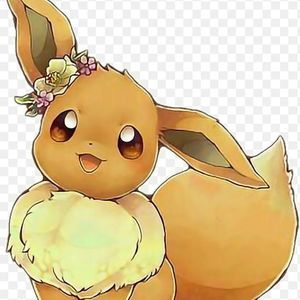 Meet your Posher, Evalynn